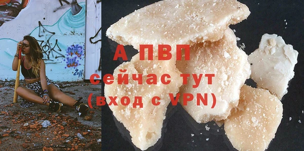 apvp Алзамай