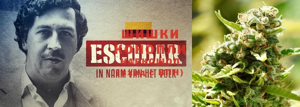 кокаин премиум Алексин