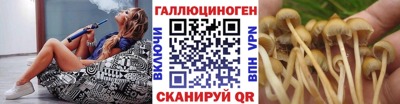 где можно купить   Фёдоровский  Псилоцибиновые грибы ЛСД 
